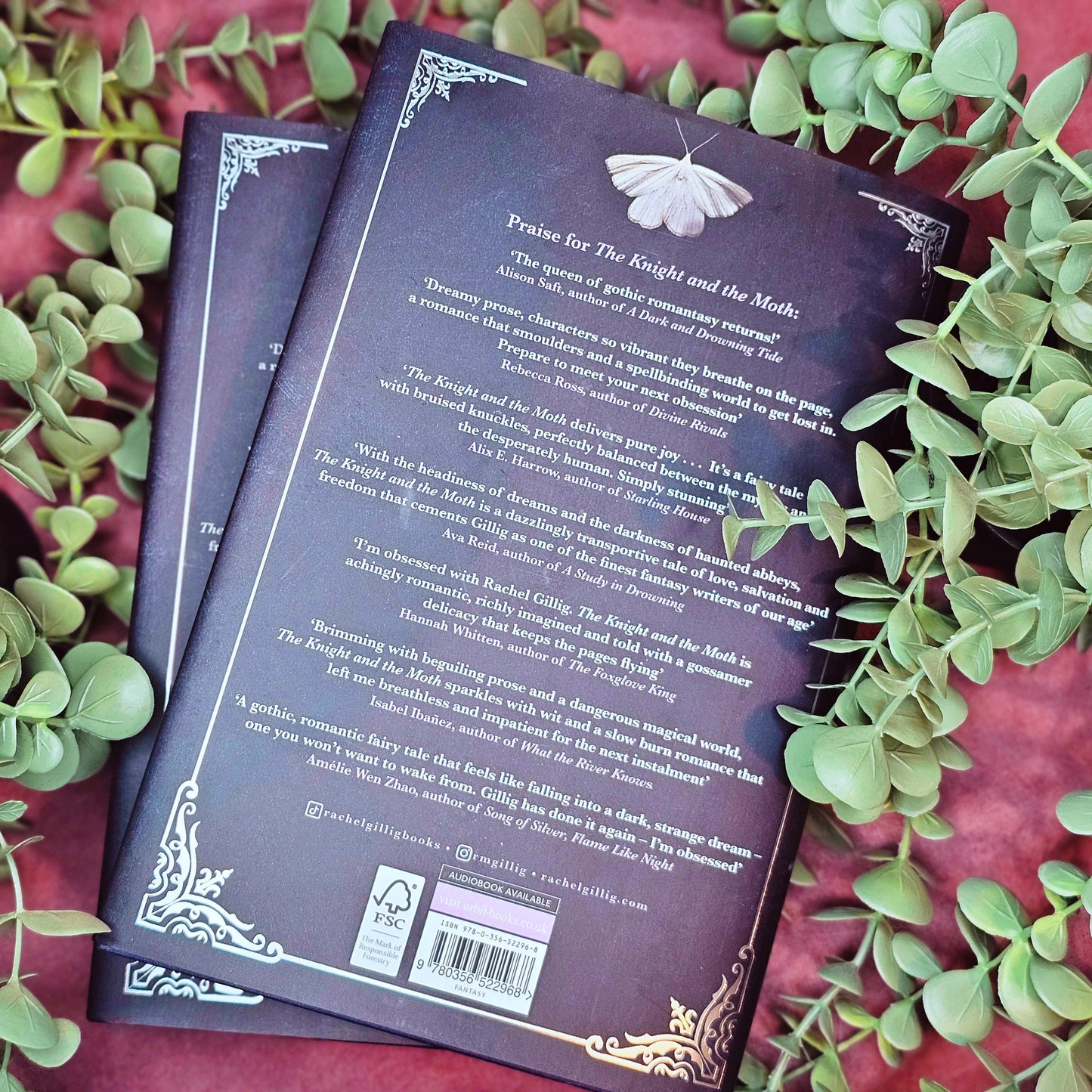 The Knight and the Moth - Special Edition