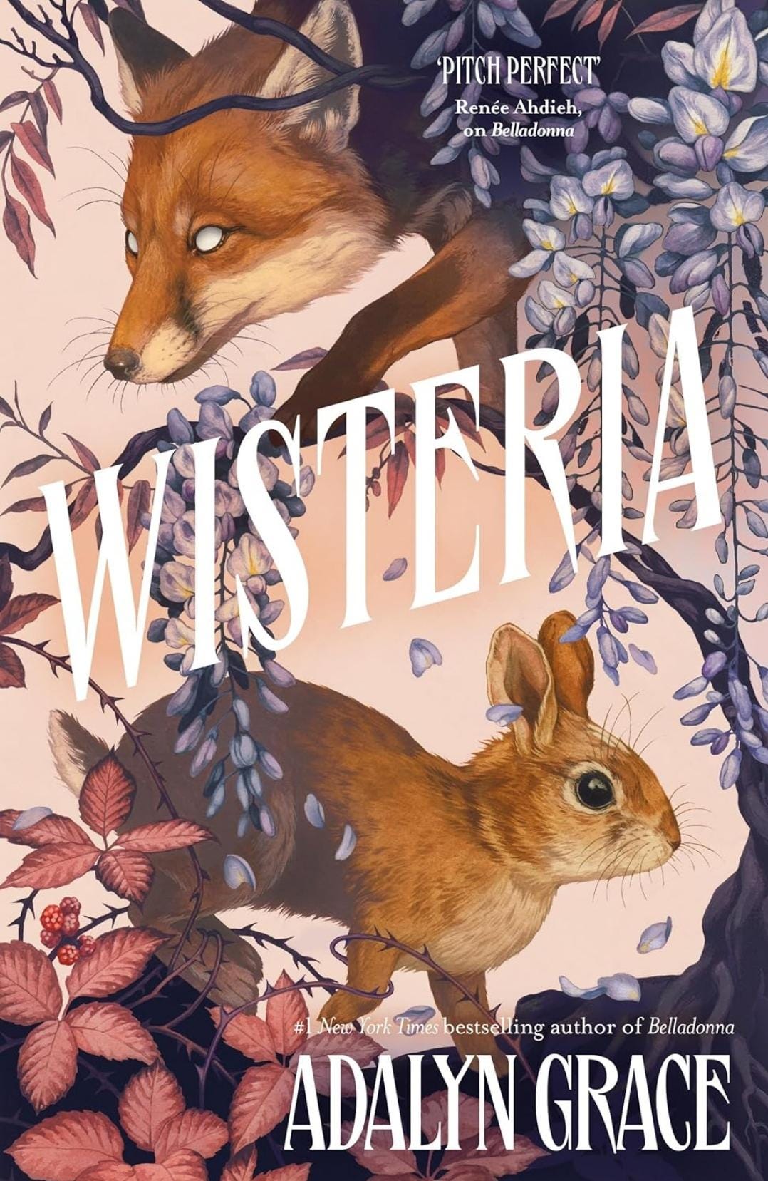 Wisteria -  Special Edition
