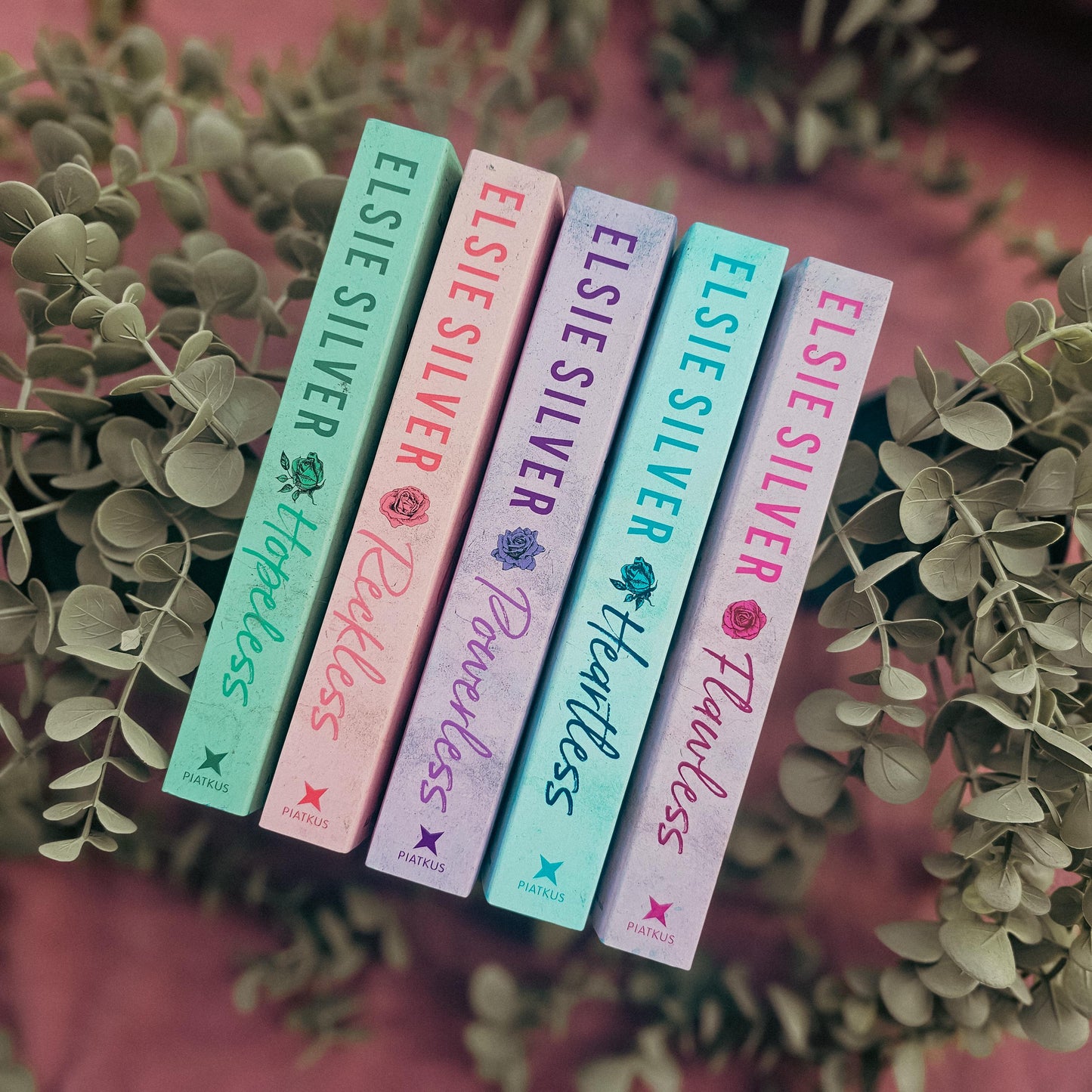 Chestnut Springs Books 1-5 - Special Edition