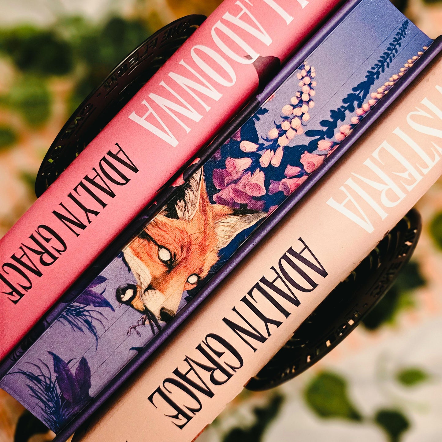 Foxglove - Special Edition