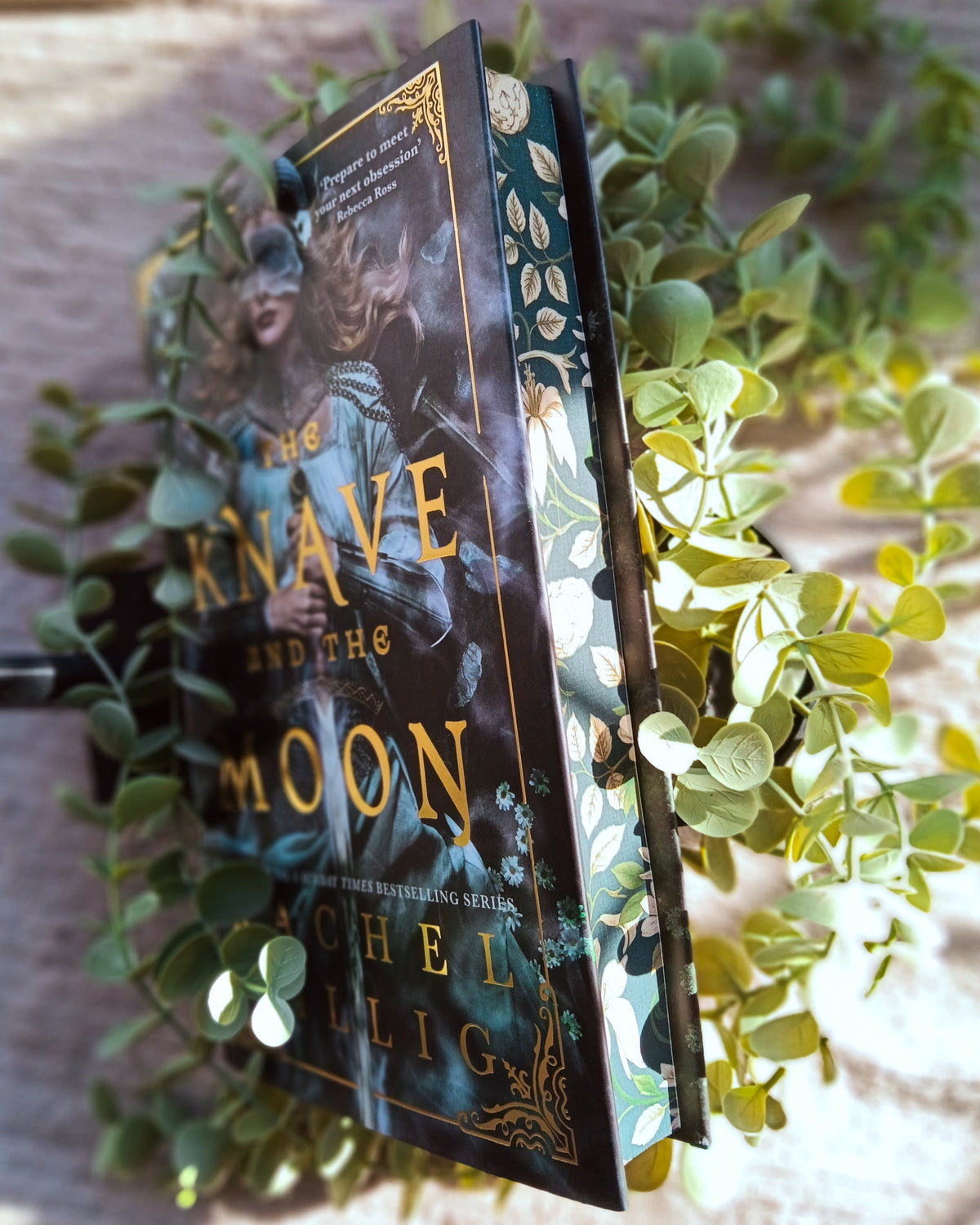 The Knave and the Moon - Special Edition