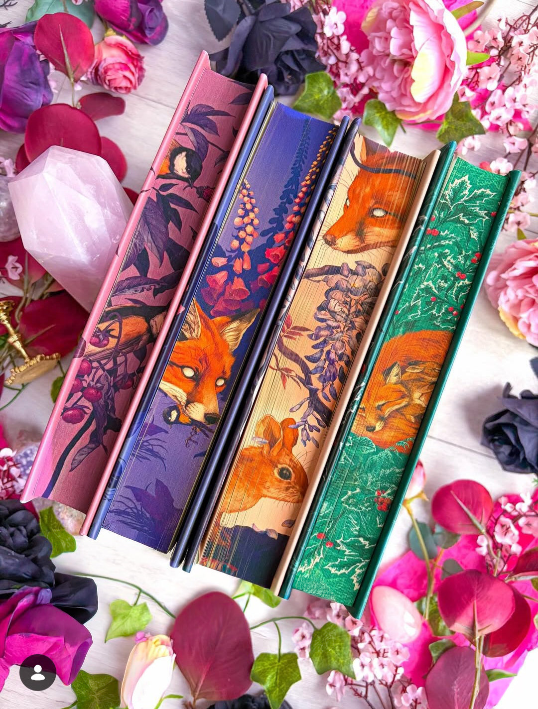 Foxglove - Special Edition