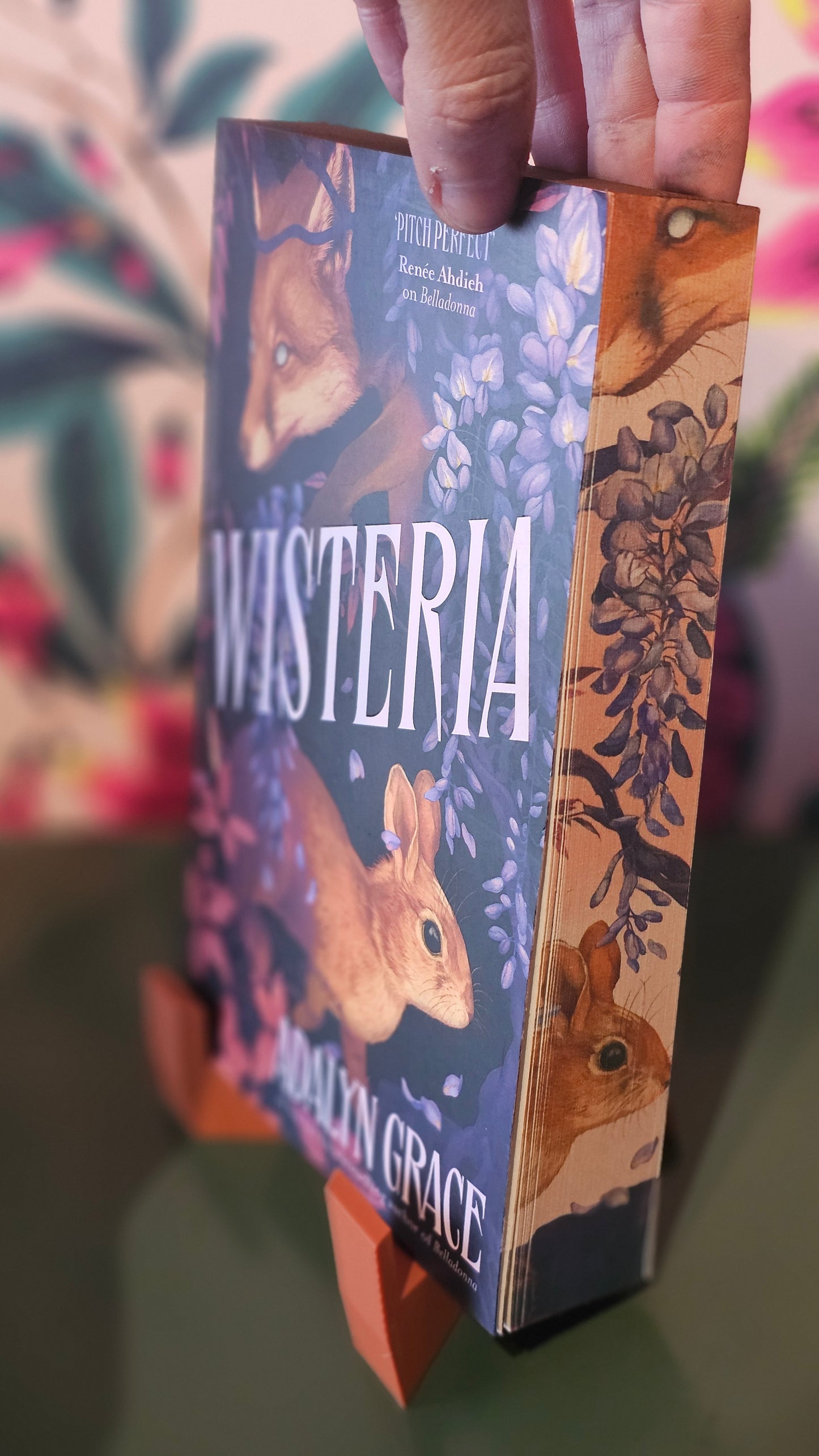 Wisteria -  Special Edition
